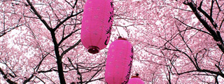 Tokyo: comienza la primavera Zen